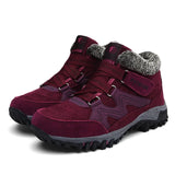 claret