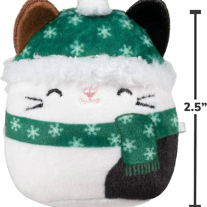 🎄Jõulukalender koos pluusnukkudega